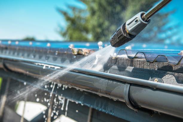 Best Roof Pressure Washing  in Mayville, ND