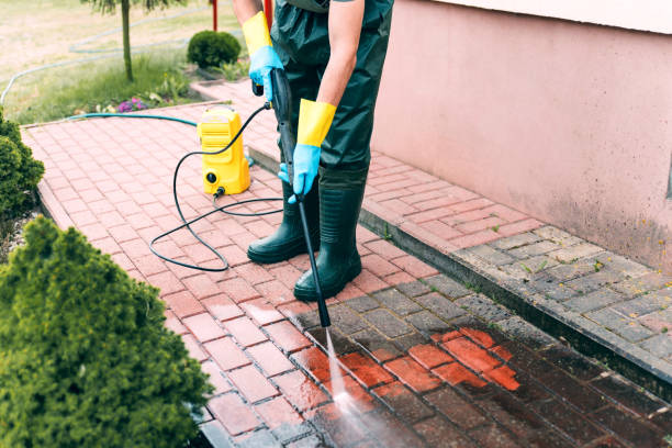 Best Fence Pressure Washing  in Mayville, ND