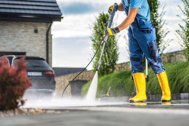 Best Sidewalk Pressure Washing  in Mayville, ND
