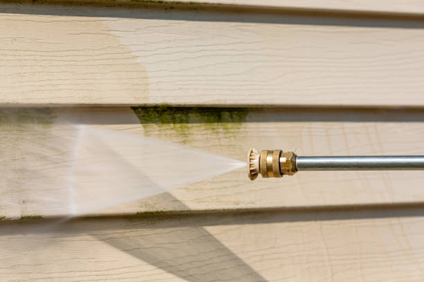 Best Commercial Building Pressure Washing  in Mayville, ND